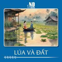 Truyện ngắn: Lúa và đất