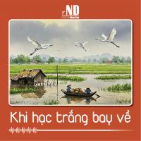 Truyện ngắn: Khi hạc trắng bay về