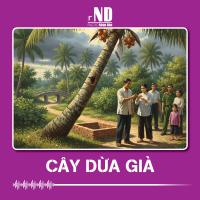 Truyện ngắn: Cây dừa già