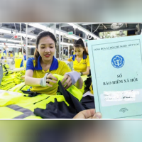 Bản tin thời sự sáng 19/11/2025: Hà Nội hỗ trợ 60.000 lao động dịp tết Nguyên đán 2026