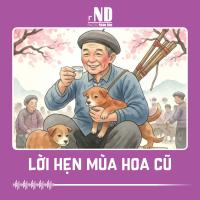 Truyện ngắn: Lời hẹn mùa hoa cũ