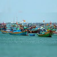 Bản tin thời sự sáng 26/2/2026: Thanh tra EC sắp vào Việt Nam kiểm tra IUU lần thứ 5