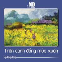 Truyện ngắn: Trên cánh đồng mùa xuân