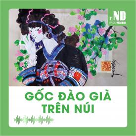 Truyện ngắn: Gốc đào già trên núi