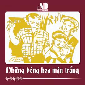 Truyện ngắn: Những bông hoa mận trắng