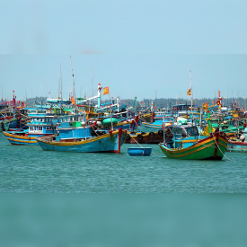 Bản tin thời sự sáng 26/2/2026: Thanh tra EC sắp vào Việt Nam kiểm tra IUU lần thứ 5