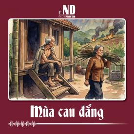 Truyện ngắn: Mùa cau đắng