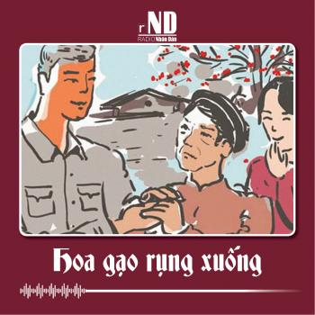 Truyện ngắn: Hoa gạo rụng xuống