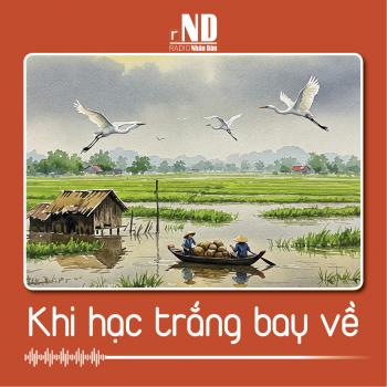 Truyện ngắn: Khi hạc trắng bay về