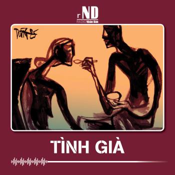 Truyện ngắn: Tình già