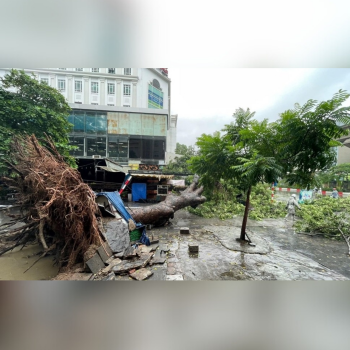 Bản tin Thời sự sáng 23/7: Không chủ quan khi bão số 3 hạ cấp, vẫn có mưa to gây lũ quét, sạt lở