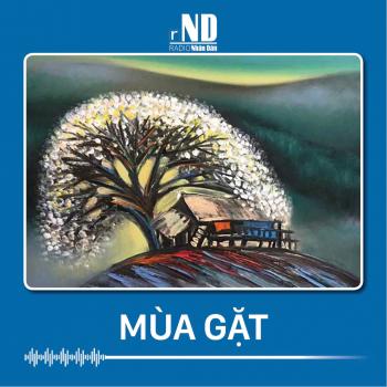 Truyện ngắn: Mùa gặt