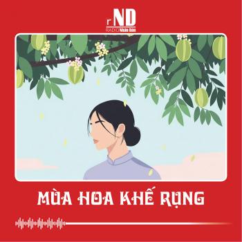Truyện ngắn: Mùa hoa khế rụng