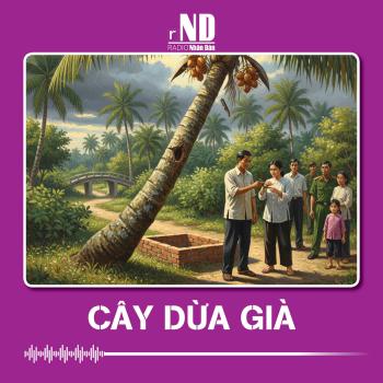 Truyện ngắn: Cây dừa già