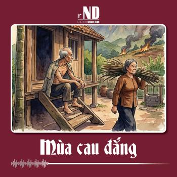 Truyện ngắn: Mùa cau đắng