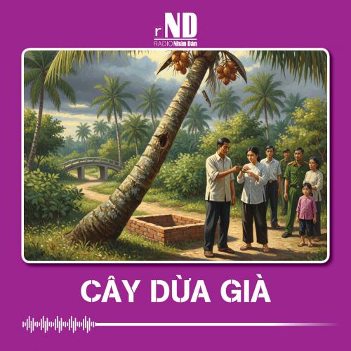 Truyện ngắn: Cây dừa già