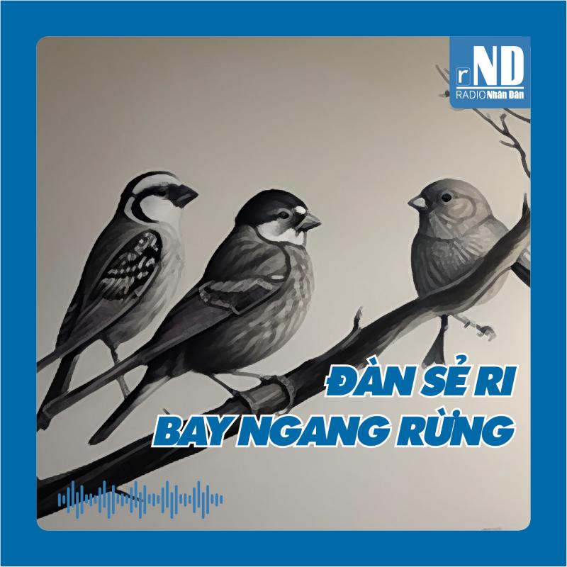 Truyện ngắn: Đàn sẻ ri bay ngang rừng