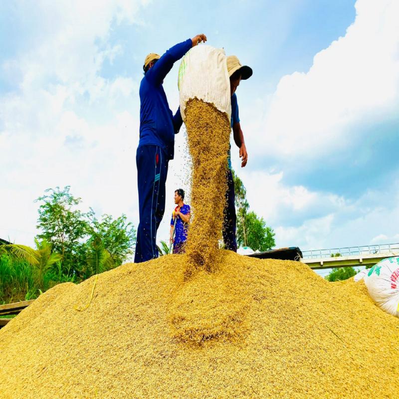 Bản tin thời sự sáng ngày 21/08/2023 