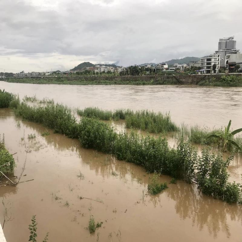 Bản tin thời sự chiều ngày 31/07/2024