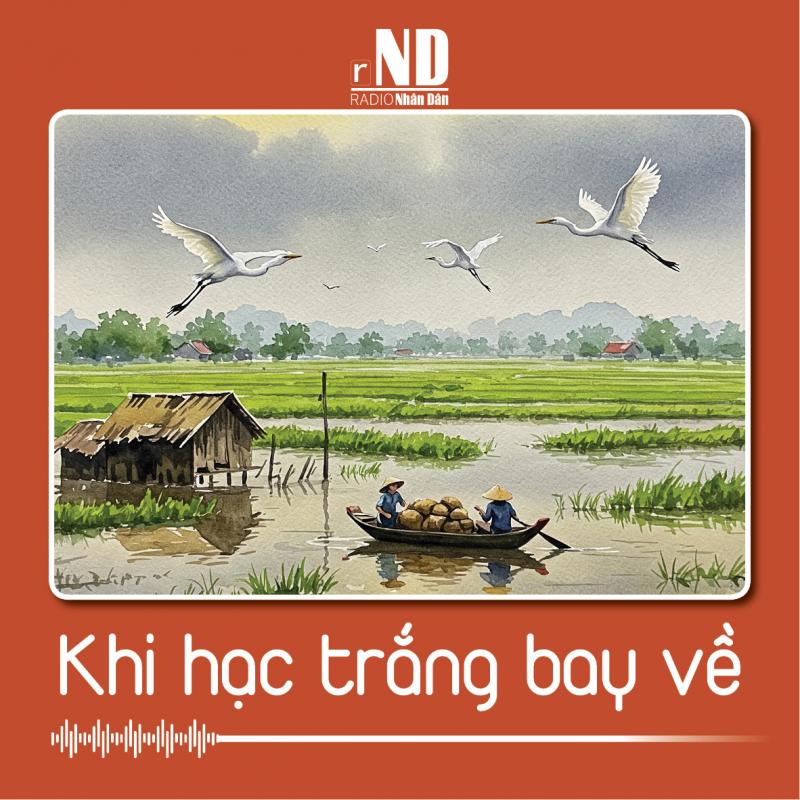 Truyện ngắn: Khi hạc trắng bay về