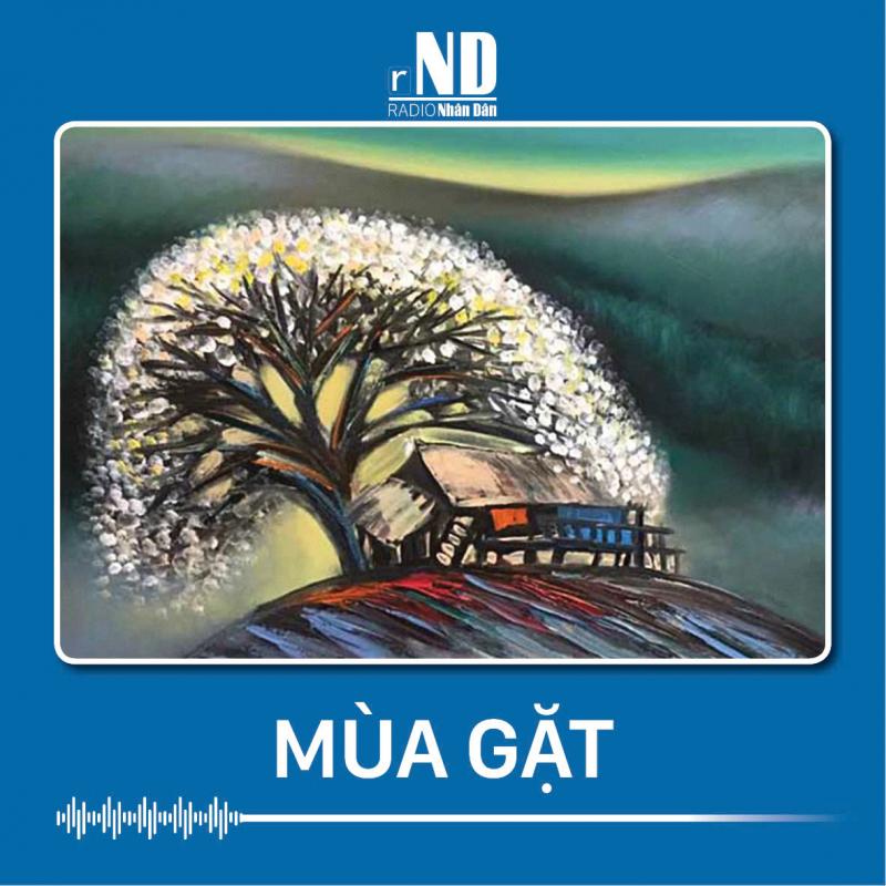 Truyện ngắn: Mùa gặt