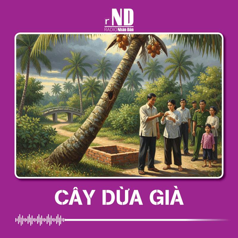 Truyện ngắn: Cây dừa già