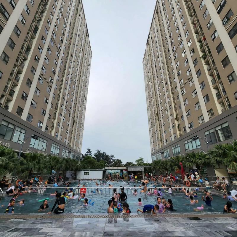 Bản tin thời sự sáng 5/112025: Giá căn hộ chung cư ở nhiều nơi bị chi phối bởi đầu cơ, tâm lý đám đông