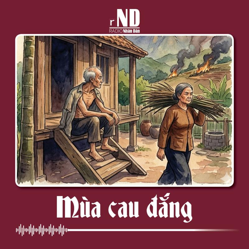 Truyện ngắn: Mùa cau đắng